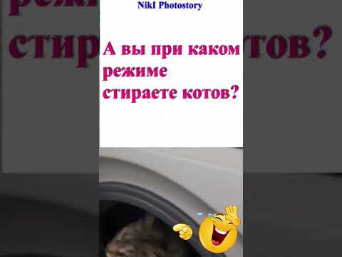 Минутка Юмора! А Вы в каком режиме стираете котов?🐈 Шерсть, деликатная или смешанная?🐈МЯУ! #Shorts