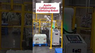 Information Dual-line Dual-pallet Cobot Palletizing News
