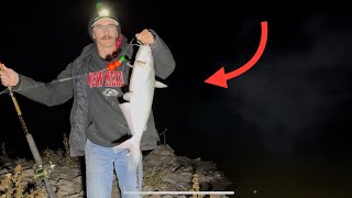 Bank Fishing Elephant Butte Lake