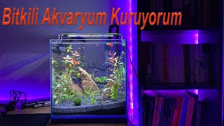 Bitkili Akvaryum Kuruyorum (1)
