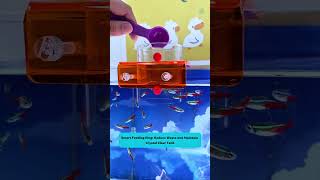 Smart Feeding Ring: Reduce Waste and Maintain Crystal Clear Tank #aquarium #fishtank