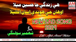 💔Sad Song 😭 | He Zindagi Ja Haseen Mela | Shahmeer Solangi | Heart Broken 💔 | ھي زندگي جا حسين ميلا