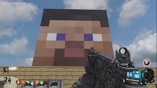 Black Ops 3 Zombies - One Window Challenge (Minecraft Edition)