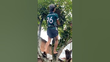 Menjerat Burung Di Samping Aviary #subscribe #fyp #bolang #monetisasishorts @PebriHalomoan