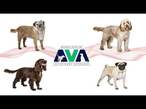 Ava Breed Specific Dog Food Youtube