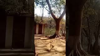 Chibagre Pitnic Chachakram Biap Nikujaengen Mo Saobarangde Niate Like Kae Donangpabo Mo Guys