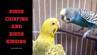 Nature Sound Relaxation-Soothing Birds Singing-Relaxing Sleep-Bird Chirping Sound ‎@Relaxation  screenshot 5