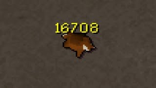 Old Runescape Project Ranged Tank - 99 Ranged Bought!! (Day #94-99)