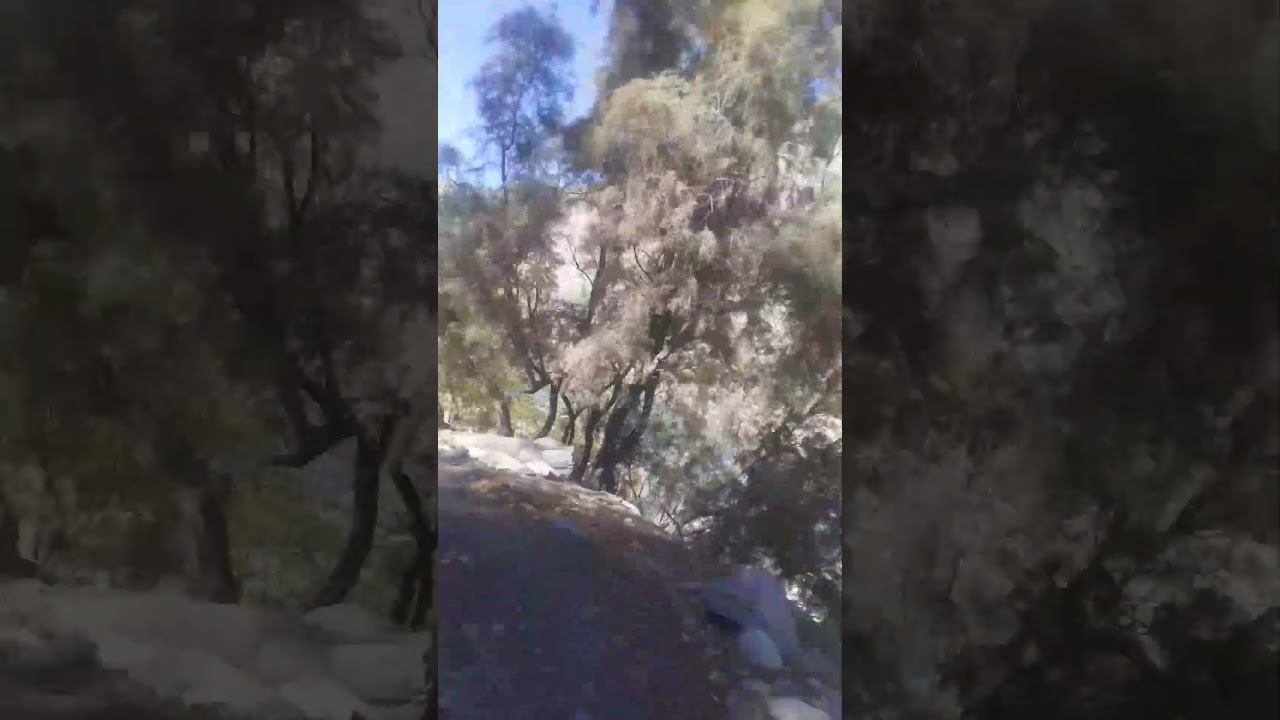 Gupis Tehsil  District Ghizer