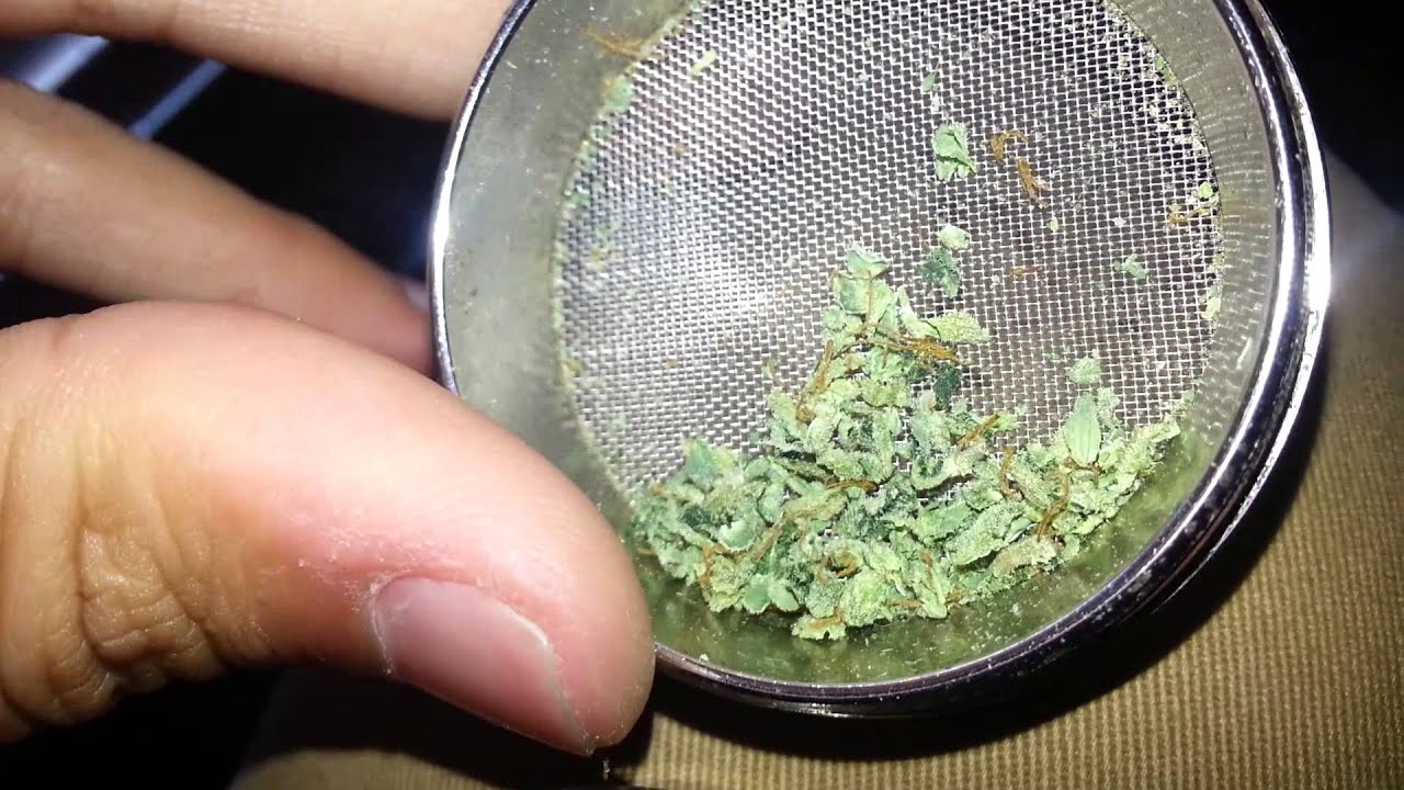 SOUR DIESEL - HD cannabis packed slider