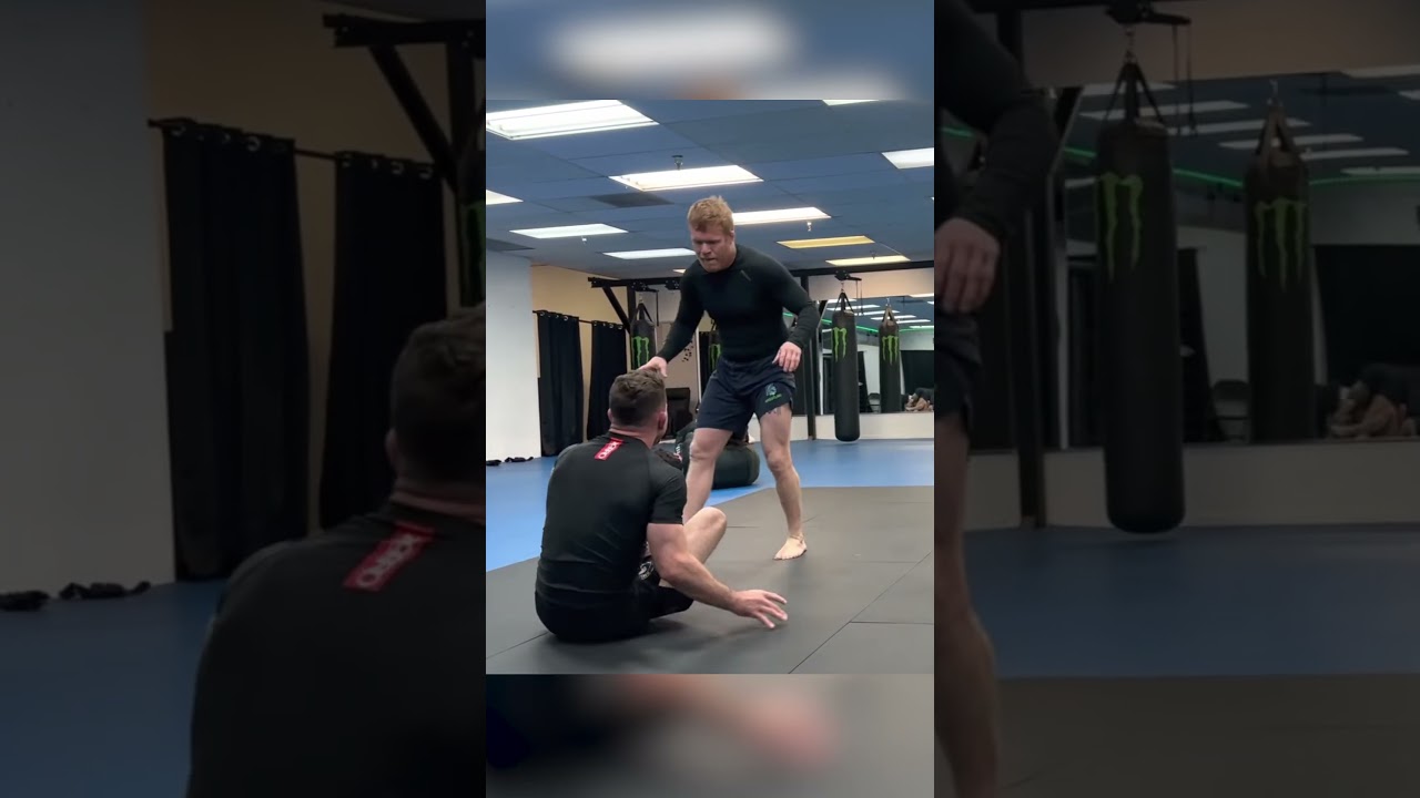Black Belt vs Black Belt BJJ (Tim Welch)