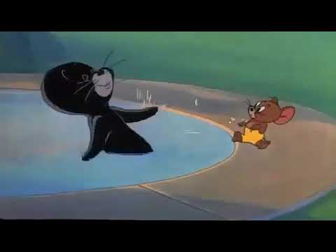 توم و جيري كلب البحر بيصقف       