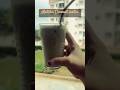 Try Matcha Yourself and comment how it tastes!!   #shorts #youtubeshorts  #youtube #recepie