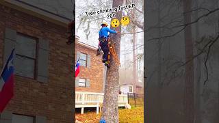 Tree climbing EP 200 #treeclimber #tree #treecutting #woodworking #husqvarna #stihl #shorts #how