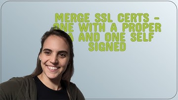 Merge SSL certs - one with a proper CA and one self signed