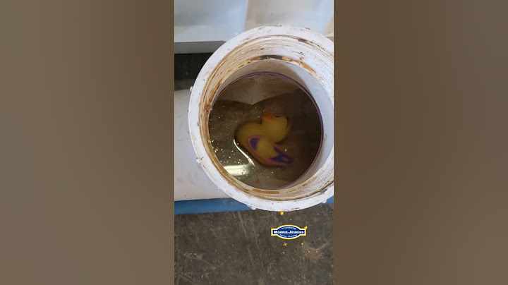 What happens when you flush toys #plumbing #willitflush #homerepair #rubberducks #funny #toilet #lol