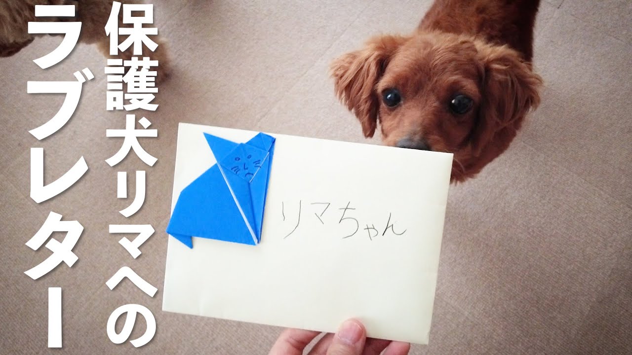 なんと 6歳の男の子からラブレターを貰いました リマ歓喜 Youtube