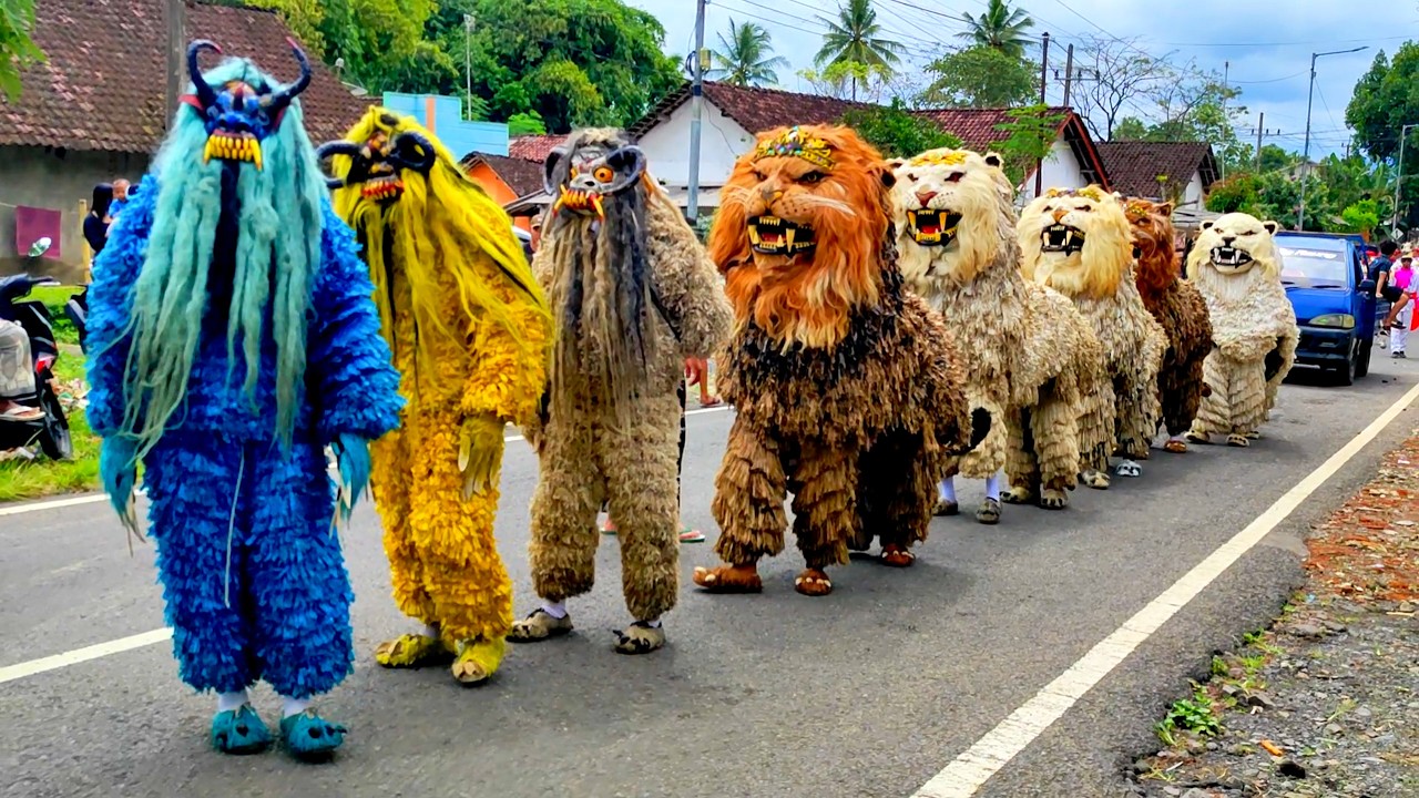 Kirab can macanan Singo Raung diiringi drumband Al Azhar | Live Sukosari Sukowono Jember