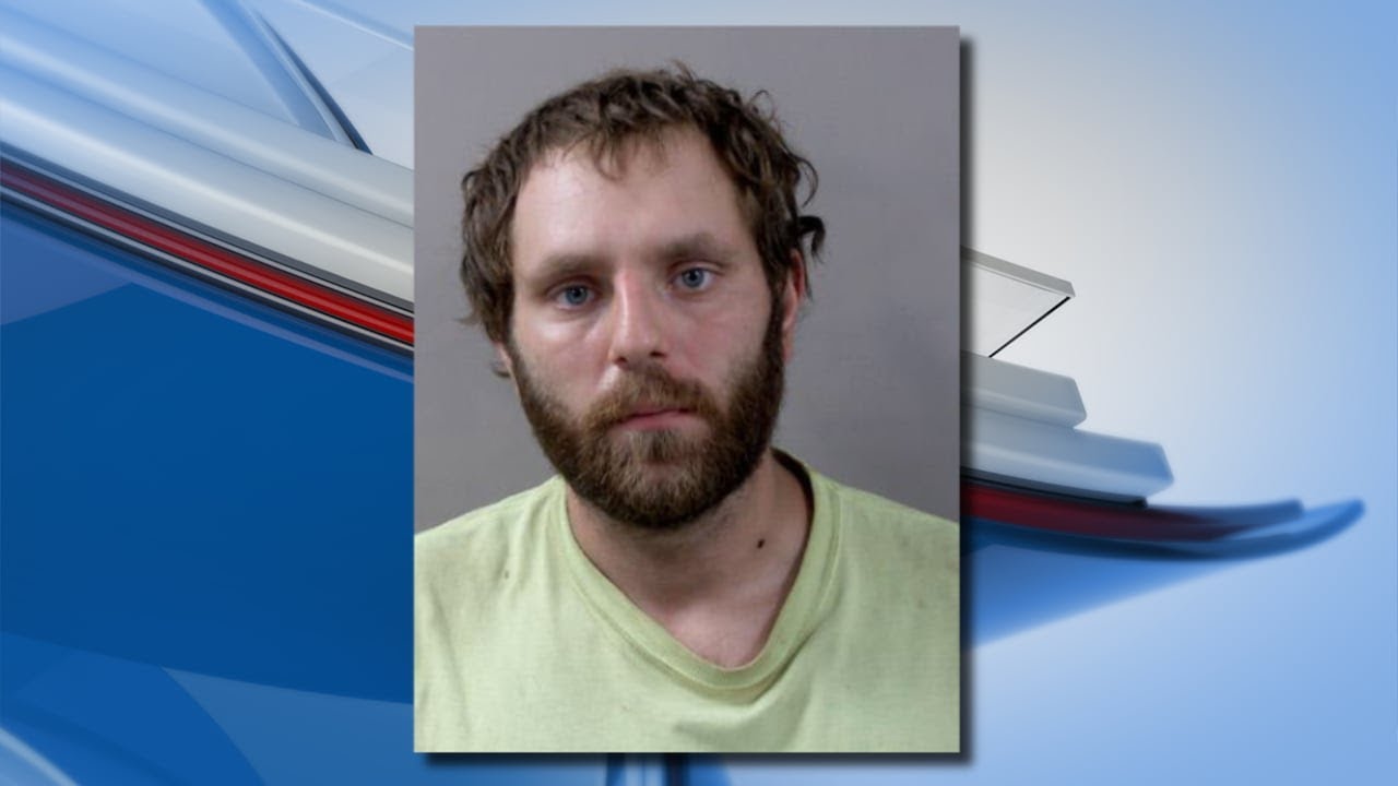 Lansing man charged with nearly 50 counts in child sexual assault ...