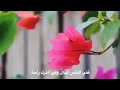 توكلت في رزقي على الله خالقي و أيقنت ان الله لا شك رازقي      نجومي