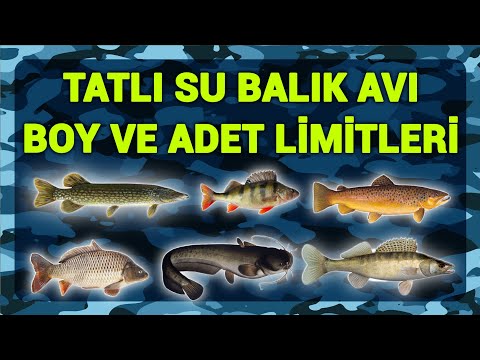 Video: Balıkçılık Gözlükleri: Hatasız Seçim