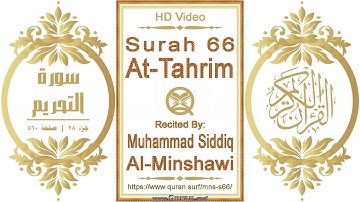 سورة ٠٦٦ ،التحريم | القارئ: محمد صديق المنشاوي | نص يبرز فيديو عالي الدقة عن تلاوة القرآن الكريم