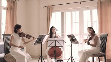 John Legend "All of Me" | String Trio cover (live)