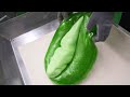 【製造風景】スイカ飴の作り方 / フルーツ飴 / フルーツキャンディ