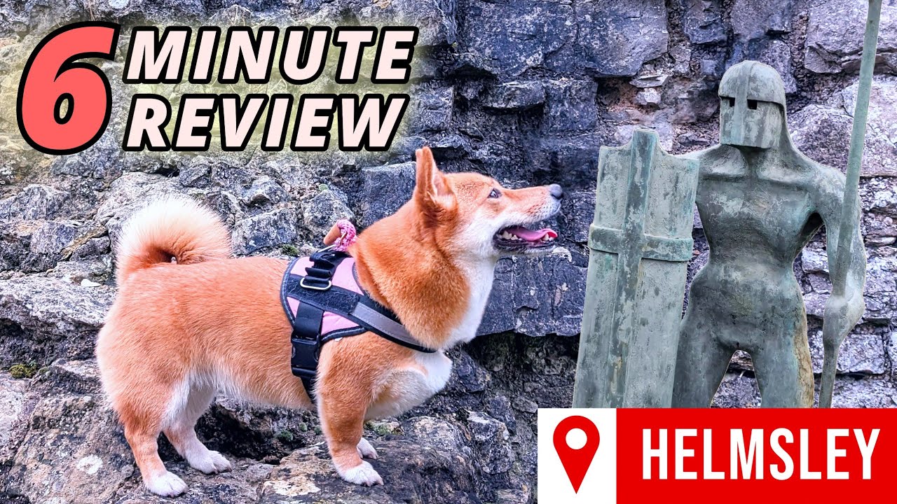 Explore Historic Helmsley |  SHIBA x CORGI Dog Friendly UK Travel Adventures in 4K 