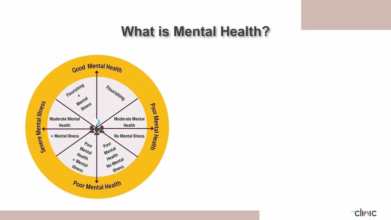 Navigating the Mental Health System