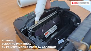 Zq320 Cleaning Printhead By Acsgroup
