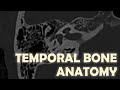 Anatomy of the temporal bone on imaging