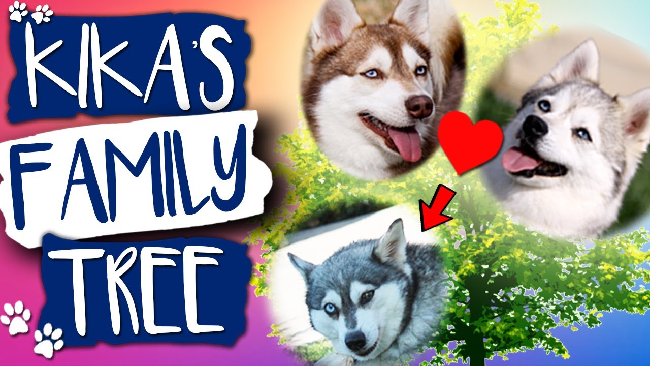 Kika's Family Tree - YouTube