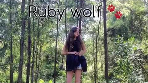 Intro video welcome to my channel