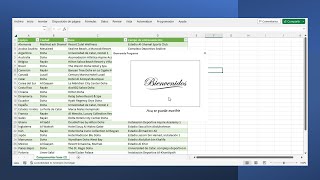 Celebrity Como hacer MENSAJE de bienvenida con IMAGEN y TEXTO en visual Basic Excel Profile