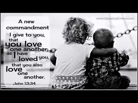 A new commandment - Abhijeet Nagpure &amp; Alex Joseph