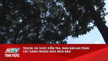 TP.HCM: RÀ SOÁT, KIỂM TRA, ĐẢM BẢO AN TOÀN CÂY XANH TRONG MÙA MƯA BÃO| HTV TIN TỨC