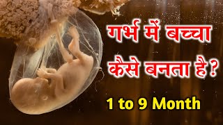 1 से 9 महीने गर्भ में शिशु के विकास का रोचक सफर || 1 to 9 month of baby growth during Pregnancy
