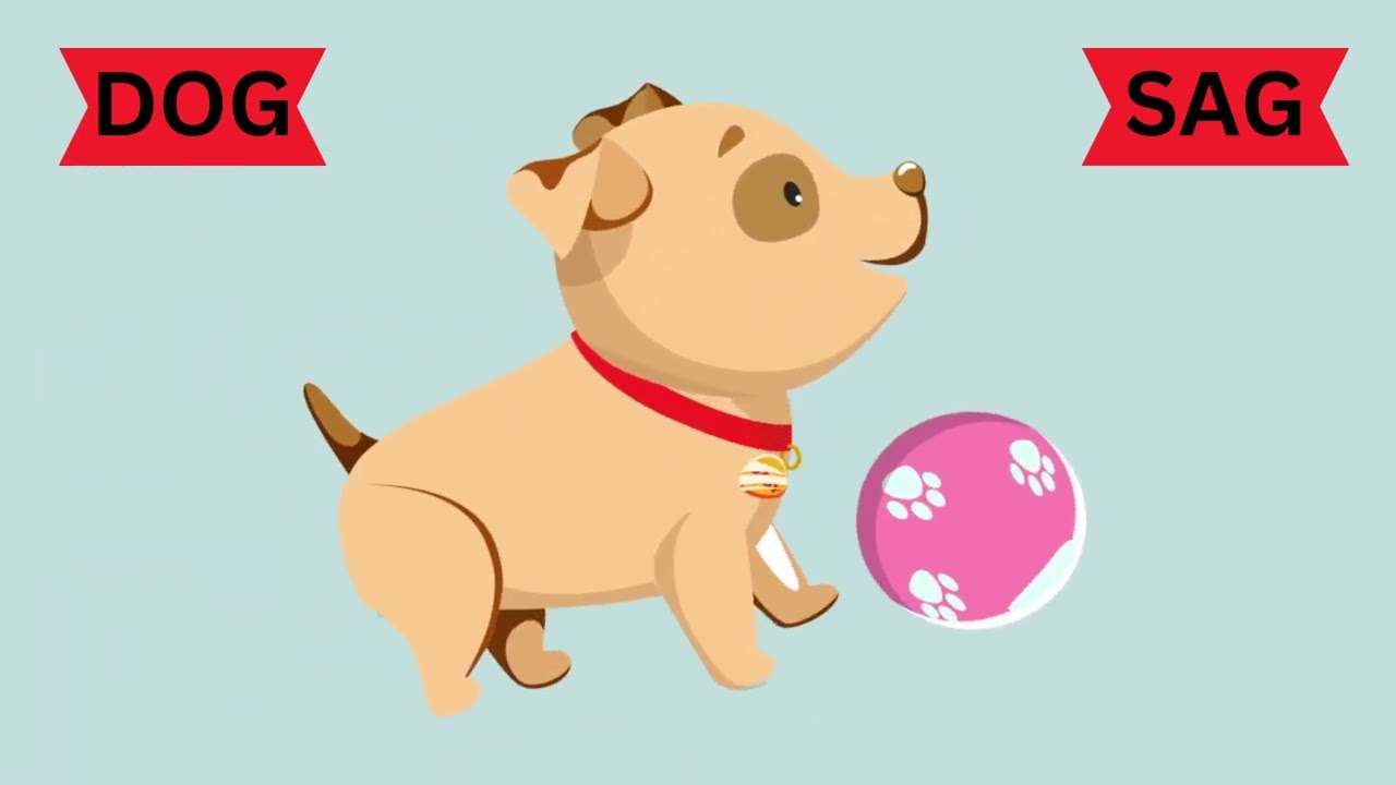 Animals | Educational Video | Bilingual Learning