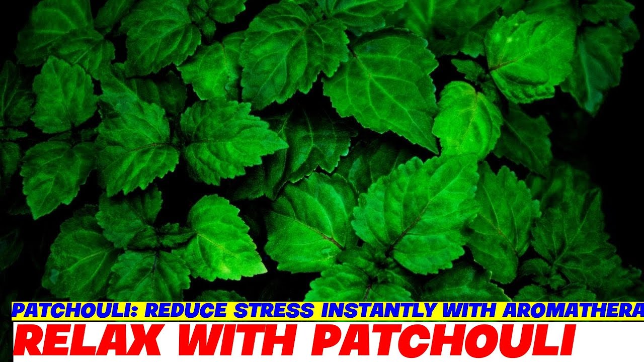 Patchouli: Reduce Stress Instantly with Aromatherapy