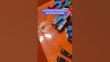 Average basement experience