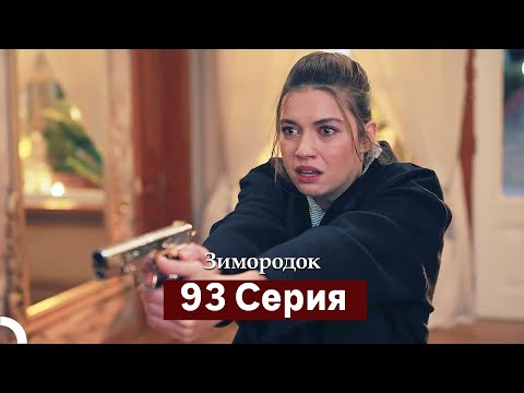 Зимородок 93 Cерия (Русский дубляж)