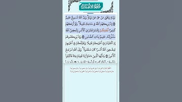 سورة الأنفال الاية 42-43 فارس عباد قرآن 533