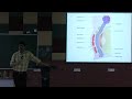Lecture On Anatomy of the Eyelid, Stye vs Chalazion, Ptosis &amp; Blepharitis | Ophthalmology | MBBS
