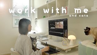 Work with Me and Cats + Cherry Blossoms