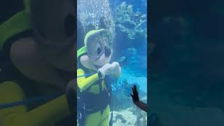 Scuba Mickey @Disneydiary