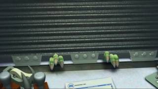 Mega Ear Rape (WARNING)
