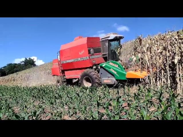 agricultura#agroétudo#irrigação