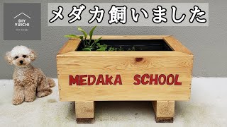 [メダカ飼いました]　ご近所のブームに乗ってみた！