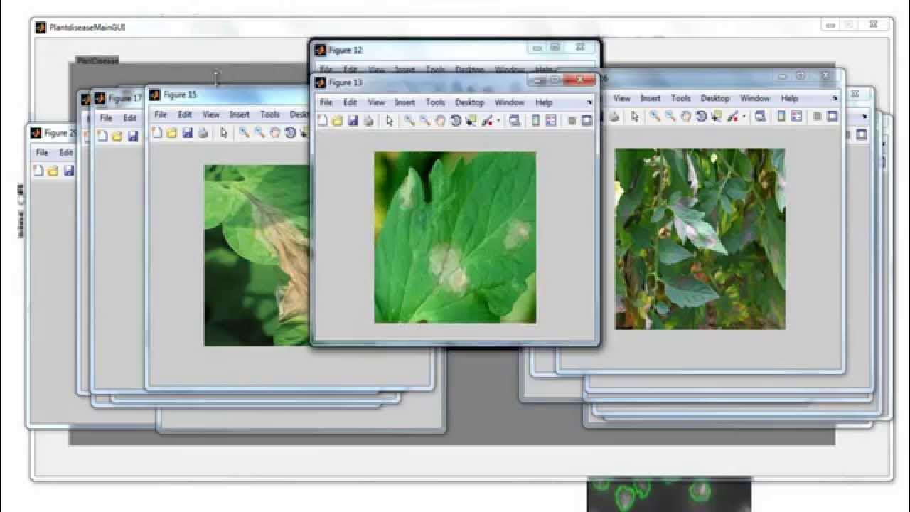 Image Processing Projects using Matlab - YouTube